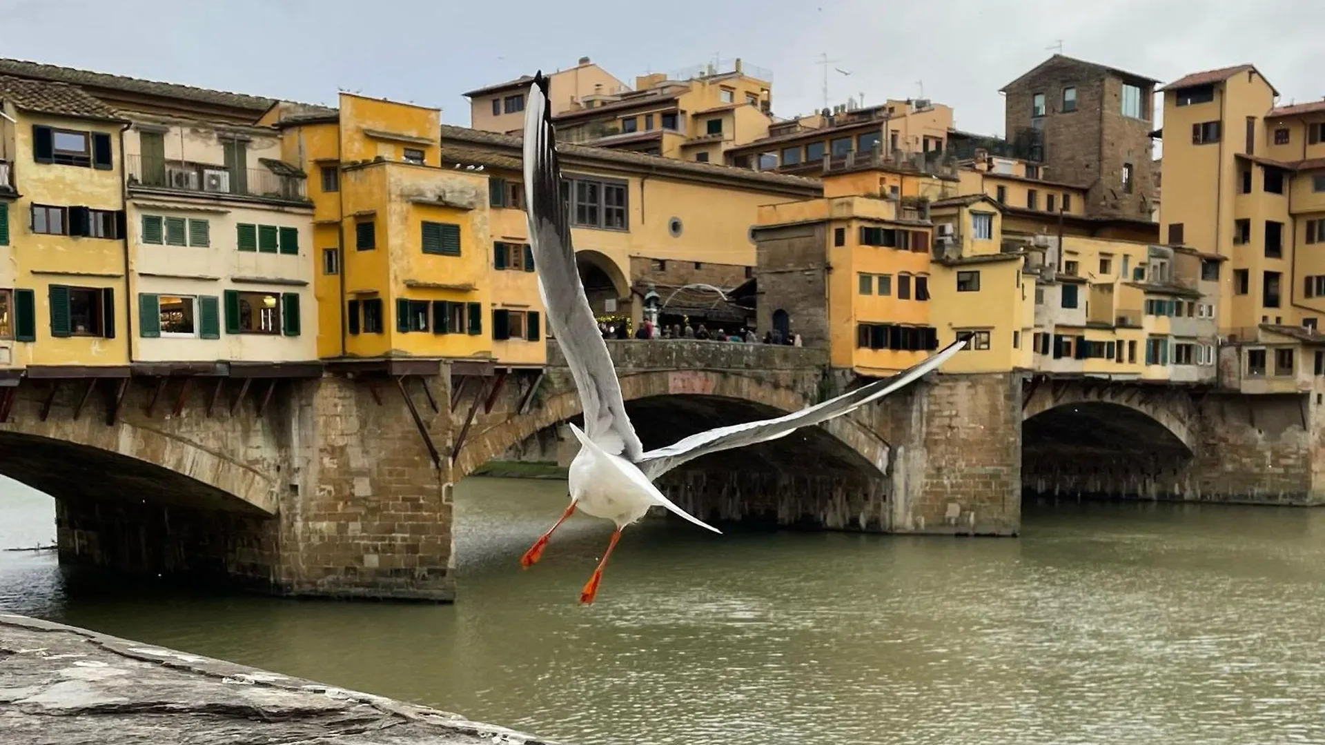 Vintage Apartments In The Center Of Florence Italy